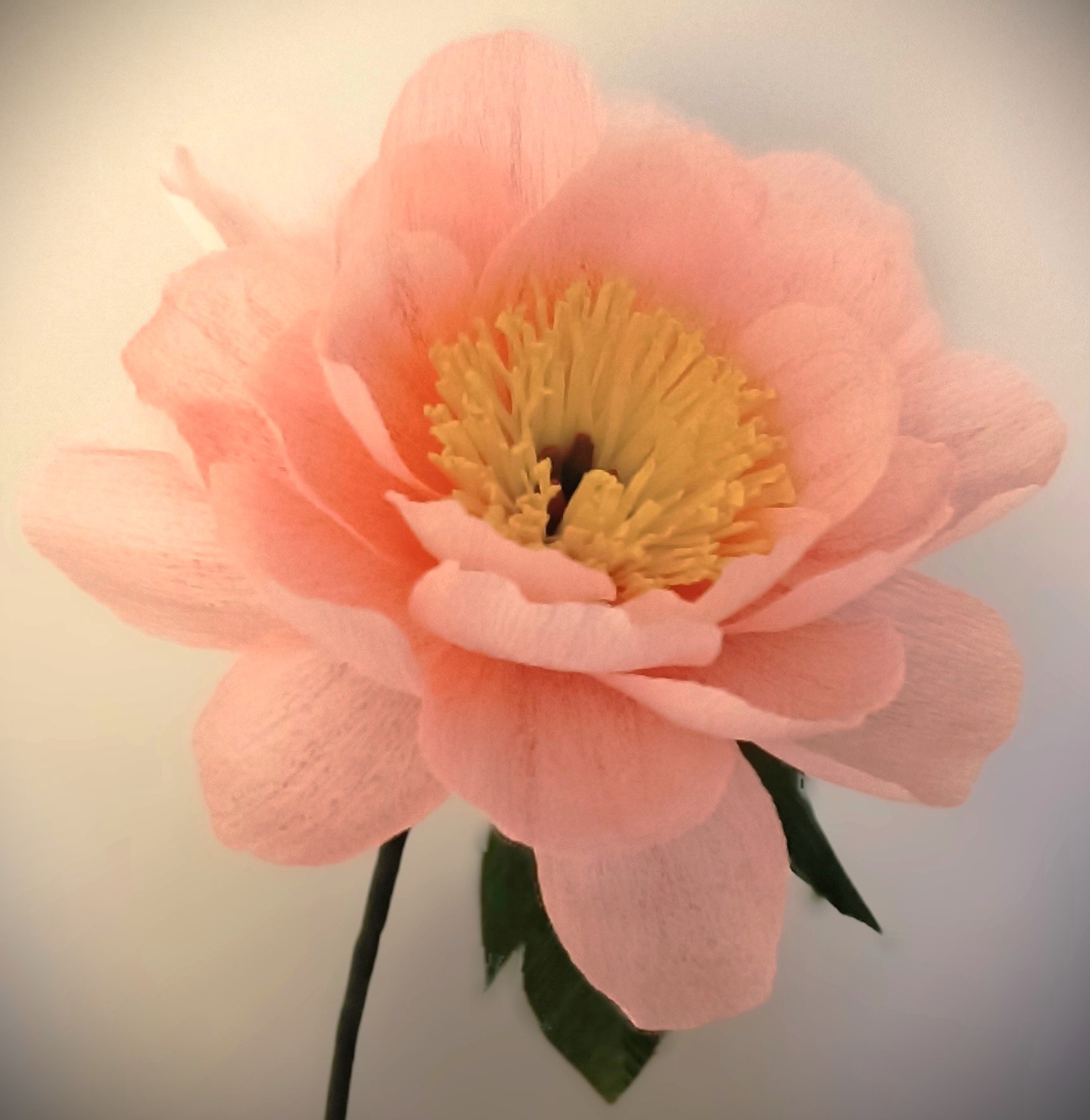 Lily et Chloris